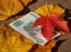 В Херсонской области ВСУ сбрасывают купюры с QR‑метками для охоты на российских бойцов