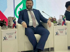 Сенатор Ворона: процедура газификации домовладений на Херсонщине упростится