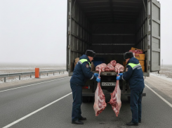 Восемь небезопасных баранов херсонец пытался провезти в Крым 
