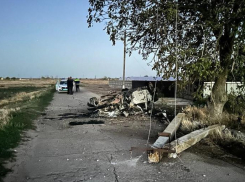 В Таврии «БМВ» перевернулась и сгорела после столкновения с опорой ЛЭП