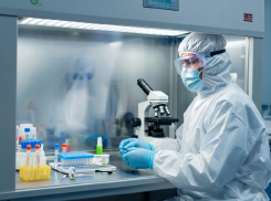 Дорогая стерильность: почему бюджет Херсонской области тратит миллионы на биологические боксы