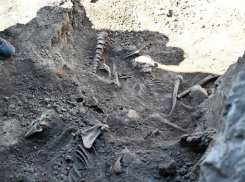 «Избивали досками с гвоздями, обматывали колючей проволокой»: зверства нацистов в Херсонской области