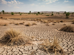 Херсонцы заявили об уничтожении системы мелиорации региона: ответ властей удивил