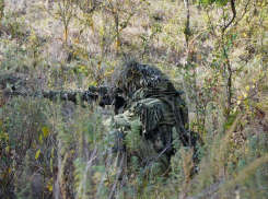 Новости СВО: ликвидация «девушки Зеленского» и тяжелые бои для ВС РФ в Херсоне