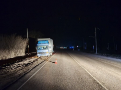 В Геническом округе пешеход чудом выжил после наезда грузовика на трассе