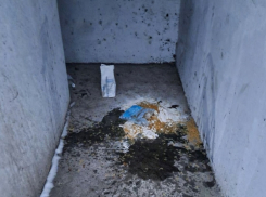 В Херсоне подростки испортили гумпомощь для ребёнка с инвалидностью