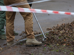 Новый отряд саперов создадут в Херсонской области