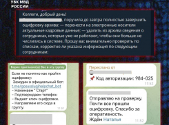 «Боты-коллеги». В МВД предупредили о мошенничестве с рабочими чатами