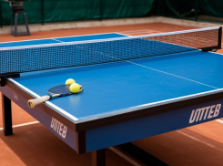 В Херсонской области создадут центр настольного тенниса