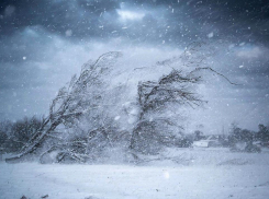 На Херсонскую область обрушатся холода и штормовой ветер