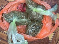 В Херсоне мужчина организовал сбыт дурман-травы