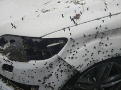 Херсонца приговорили к 17 годам за подрыв автомобиля начальника УСИН