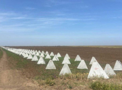 ВСУ возводят новую линию обороны в Херсонской области – Сальдо