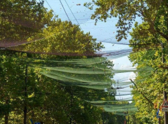 В Херсоне власти похитили 6,4 млн гривен на оборонных закупках