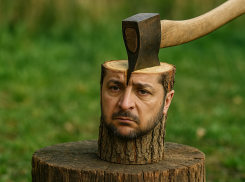 «Не дрова, а мясо»: жители Херсонщины высмеяли слова Зеленского