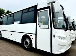 Пятеро чиновников наказаны за отсутствие автобусного сообщения в сёлах Херсонской области