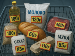 Торговцы Херсонщины наживались на людях, завышая цены на социальные товары 