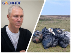 Два года уйдет на уборку стихийных свалок в Херсонской области