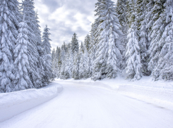 Херсонщина в ожидании зимнего чуда: прогноз погоды на 28 февраля