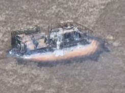 В Херсонской области дроновод взорвал бронетранспортер ВСУ, видео