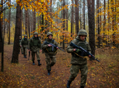 Новости СВО: мир на условиях России и расширение херсонского плацдарма