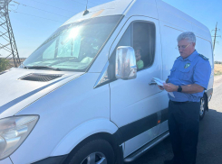 На Херсонщине обнаружили более 34 тонн загадочного рапса