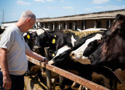 Какие проблемы одолевают херсонцев: Сальдо попросил помощи зала