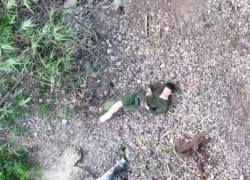 Губернатор Херсонской области рассказал о сдаче в плен солдата ВСУ