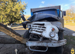 Пьяный херсонец угнал грузовик для «покатушек» и врезался в дерево