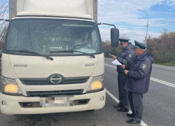 В Херсонской области обнаружили более 300 кг опасной мясной продукции