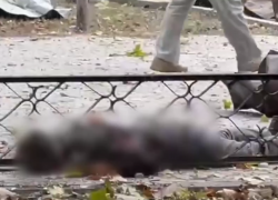 Годовщина трагедии: в Херсоне почтили память жертв ракетного удара по зданию ВГА