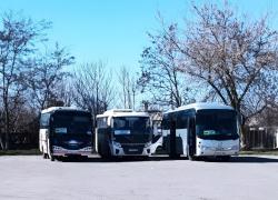 Геническ вошел в топ-4 популярных автобусных направлений 2025 года 