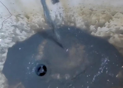 Вода с глиной льётся из кранов жителей Геническа