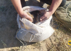 В Херсонской области браконьеры нанесли государству миллионный ущерб