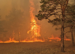 В Херсонской области из-за атаки ВСУ пострадали 7 человек