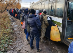 Судебные приставы выдворили 63 нелегальных мигранта из Херсонской области