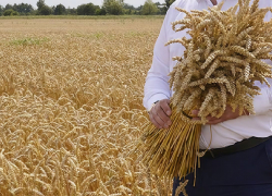 Херсонского фермера уличили в афере на 1 млн рублей 