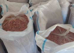 В Херсонской области браконьера приговорили к обязательным работам за ловлю креветки 