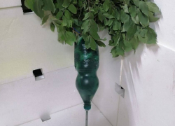 В Херсонской области ВСУ маскируют мины под траву и кусты