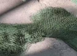 Антидроновые сети на появились улицах Херсона: город превращают в блиндаж