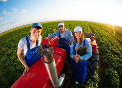 Молодёжь Херсонской области не хочет идти в сельское хозяйство