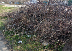 В Геническе после жалоб горожан власти ликвидировали стихийную свалку