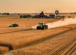 Сальдо заявил, что Херсонская область станет самодостаточной за 3-5 лет