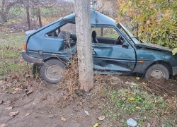 В Херсонской области пьяный юнец без прав чуть не угробил в ДТП 23-летнего друга