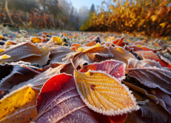 Первые заморозки придут в Херсонскую область уже 26 сентября