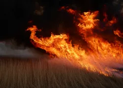 Трагедия в Херсонщине: ДТП унесло жизнь подростка, а пожары угрожают безопасности регион