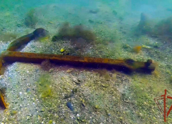 Росгвардейцы Херсонской области нашли в Азовском море артефакты времён ВОВ