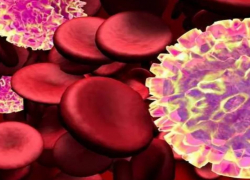 В Херсоне обнаружили новый вирус: Путину доложили о первом случае заражения лихорадкой Западного Нила