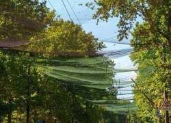 В Херсоне власти похитили 6,4 млн гривен на оборонных закупках