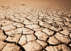 Каналы орошения на Херсонщине могут передать в федеральную собственность